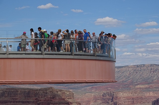 7 of the World’s Most Unique Nature Observation Decks